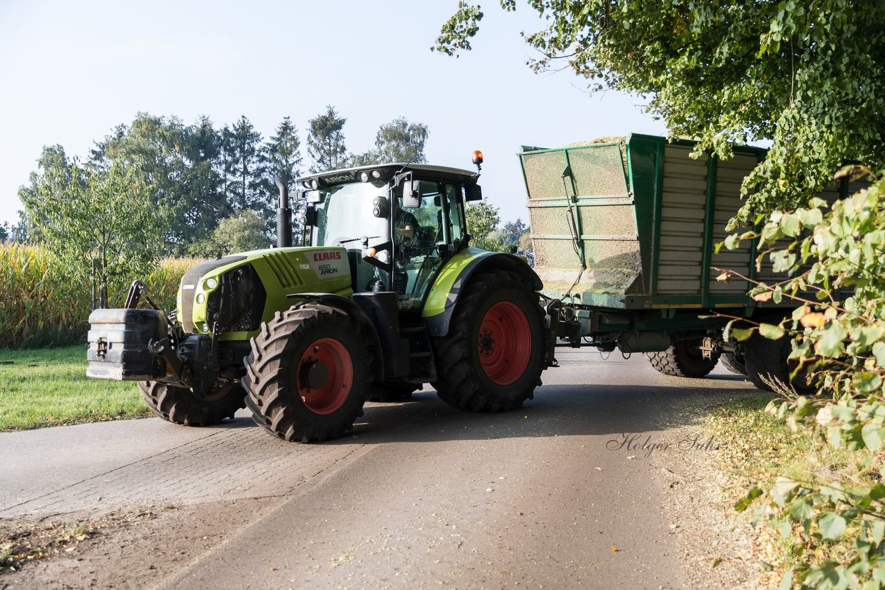 Bild 106 - Maisernte